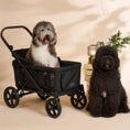 Load image into Gallery viewer, Kross | One-Step Folding Large Pet Stroller- Midnight Black
