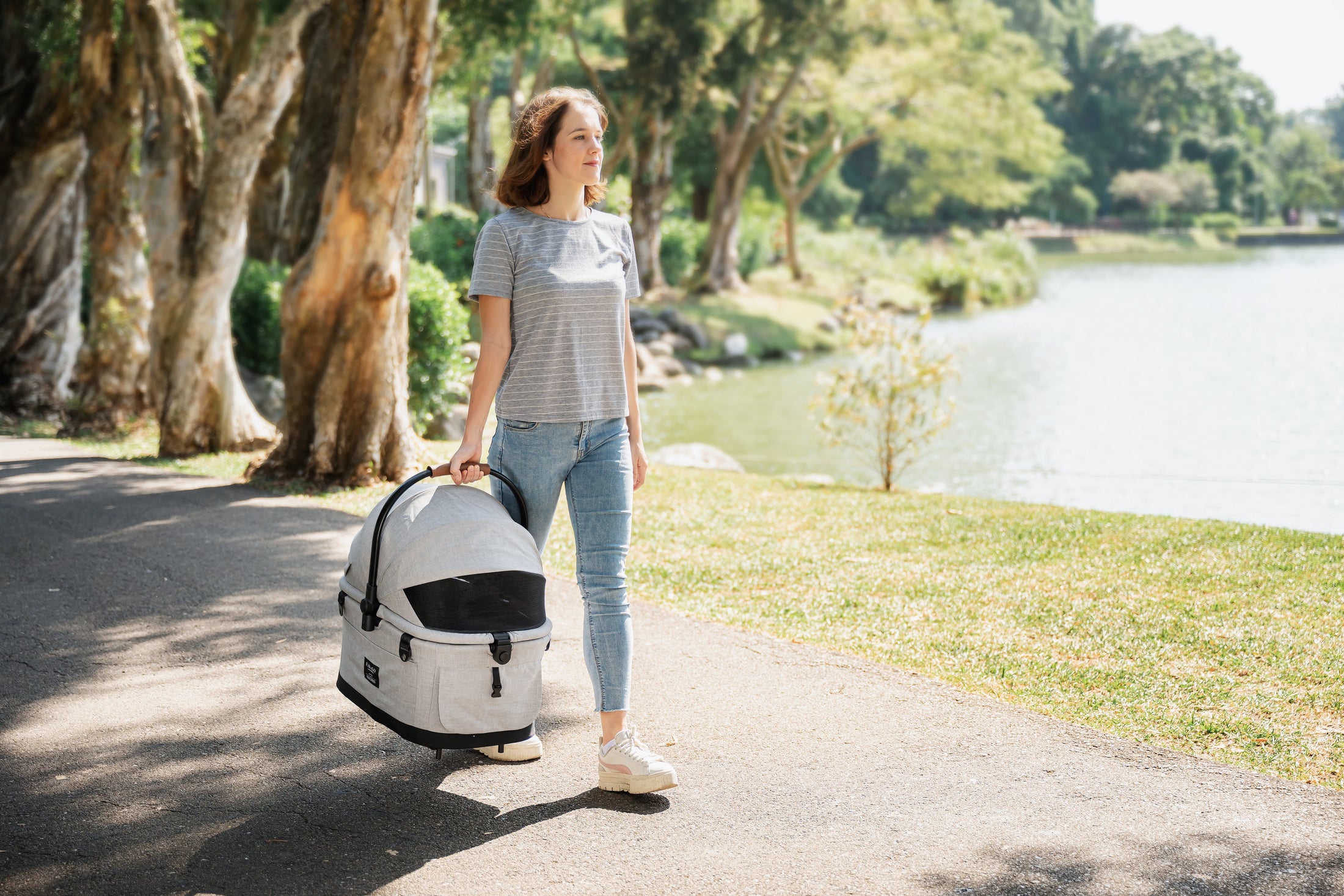 FLYTTA PLUS | Detachable Pet Stroller - Nordic Garden