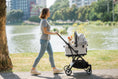 Load image into Gallery viewer, FLYTTA PLUS | Detachable Pet Stroller - Grey Husky
