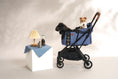 Load image into Gallery viewer, FREE TO GO | Auto Quick Folding Pet Stroller - Blue Note
