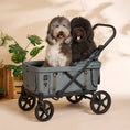 Load image into Gallery viewer, KROSS | One-Step Folding Large Pet Stroller - Forest Green
